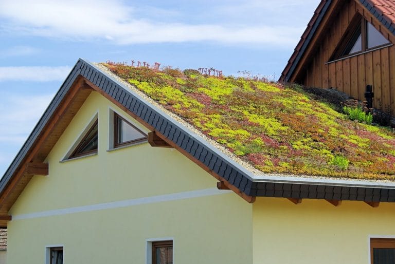 Top Benefits Of Installing a Green Roof